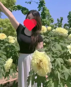 包河区气质型小御姐